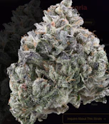 Lemon Lime Runtz 3.5G By Corner Store Cultivation