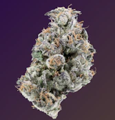 Sherb Coctail #7 | 3.5G By Corner Store Cultivation