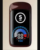 Misty Mint 2g AIO Flavor Briq