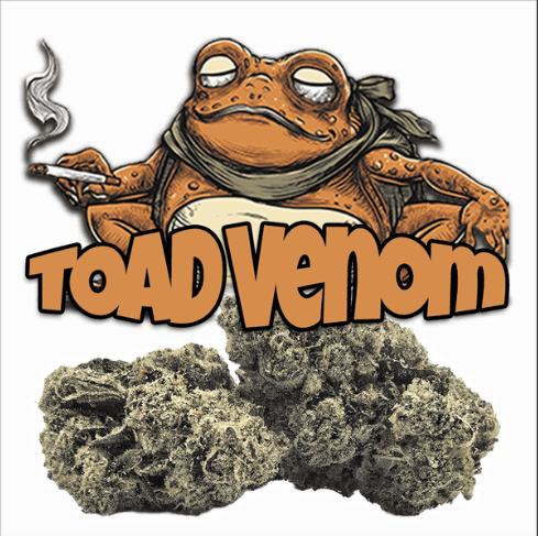 Flower - Toad Venom - 3.5G