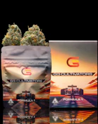 G3 CULTIVATION - Flower - F1 - 3.5G