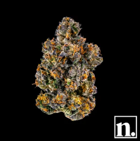 Niche | Permanent Power #9 | 3.5g