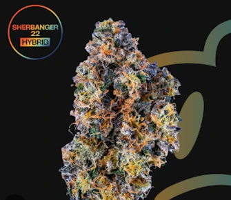 Goodies | Sherbanger 22 | 7g