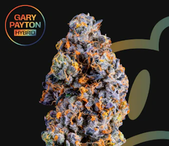 Goodies | Gary Payton | 7g