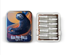 Koa Infused 10pk Prerolls 3.5g Bolo Runtz