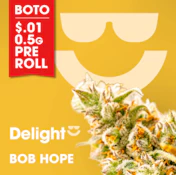 [REC] Delight | Bob Hope | 3.5g Flower