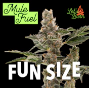 Mule Fuel 7g Fun Size Budz 0036
