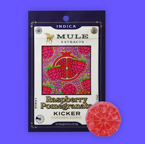 Mule | Raspberry Pomegranate Kickers | 2pk/100mg