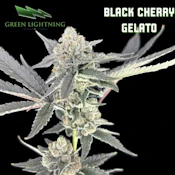 Black Cherry Gelato 3.5g