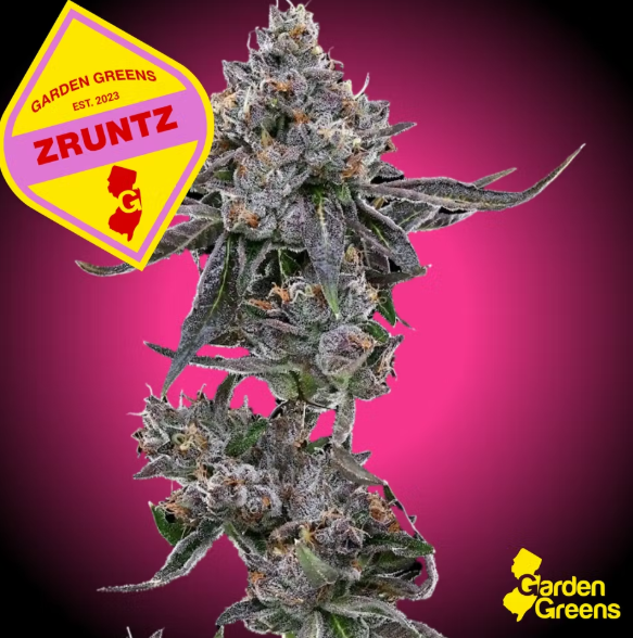 Zruntz 2pk/1g Prerolls