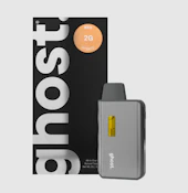 Ghost- RS11- 2g Disposable Vape