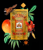 Mango 10pk Fruit Chew - 100mg