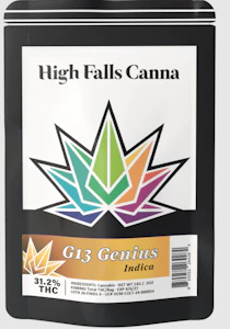High Falls Canna - High Falls Canna | flower | G13 | 14g