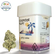 Coastal Sun Flower 7g - Jelly Cake 30%