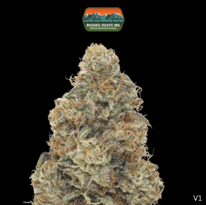 Rugged Roots - Dime Bag | Khalifa Kush | 1g Main Image