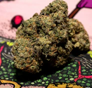 TEDS BUDZ 3.5G Nasty Patty Flower