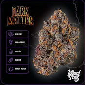 Wizard Trees 3.5G Dark Matter Indoor Flower