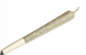 Toast - Preroll - Purple Reign