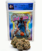 TED BUDZ Lamar Odom Rookie 3.5