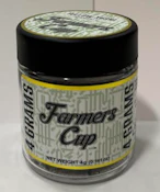 Farmers Cup - Indoor - Yellow Xushi - Jar - Flower - 4G