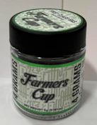 Farmers Cup - Indoor - First Class Gas - Jar - Flower - 4G