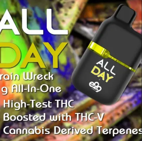 E29 Labs - All Day - Trainwreck - 1g - AIO Disposable