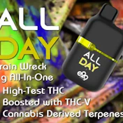 E29 Labs - All Day - Trainwreck - 1g - AIO Disposable