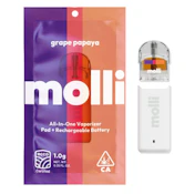 Molli | 1g Pod | AIO | Grape Papaya