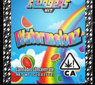 Sluggers Hit - Sluggers - Concentrate - Sauce - WatermelonZ - 1g Main Image