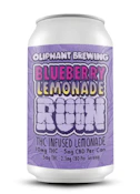 Oliphant Brewing | Ruin Blueberry | 12oz