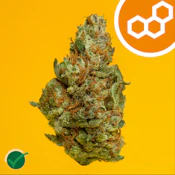 Colorado Flo (Aniva) 41711