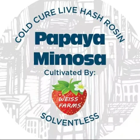 Nyce - Papaya Mimosa -Hybrid- 70.63% THC | Live Rosin (Concentrate) 1g (Weiss Farms) Nyce   -bf1