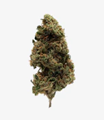 3.5g - Zkittlez OG - Indica Dom Hybrid