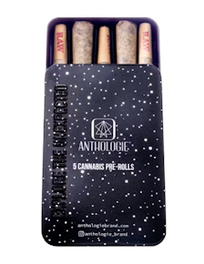 Anthologie | Purple Punch | 5pk/2.5g