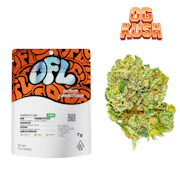 Oakfruitland 7g OG Kush