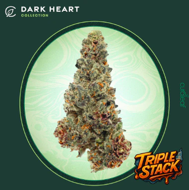 Curaleaf - Dark Heart Collection Whole Flower 3.5g Triple Stack (I) 01720 Main Image