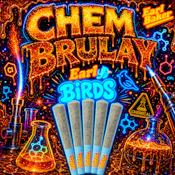 Chem Brulay 5pk 2g PR 027