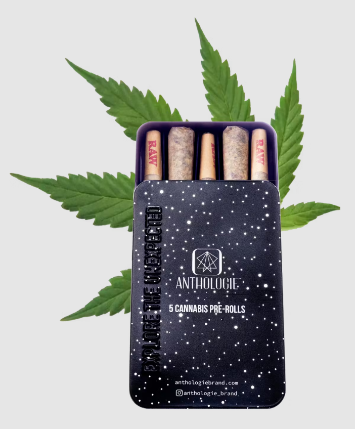 Purple Punch 5pk/2.5g Prerolls