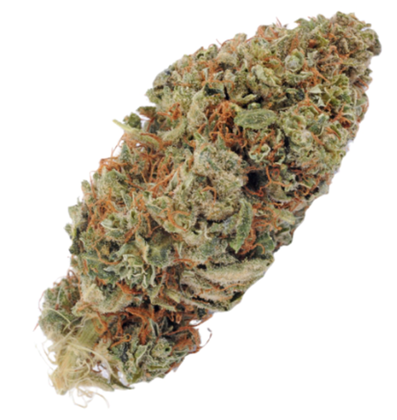 3.5g - North Star OG - Sativa Dom Hybrid