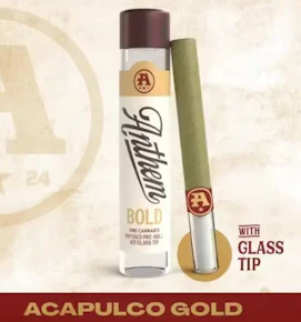 Anthem | Preroll | Glass Tip Infused | Acapulco Gold | 1G