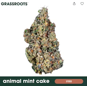 Grassroots | Flower | Dark Heart Collection | Animal Mint Cake | 3.5G