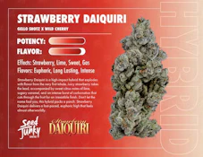 Arctic Burst - 7g (H) - Seed Junky