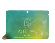 Autumn Brands Smalls 28g Mango Haze