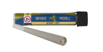 Memory Loss 1g Infused Preroll - Sativa Dominant | Nanticoke