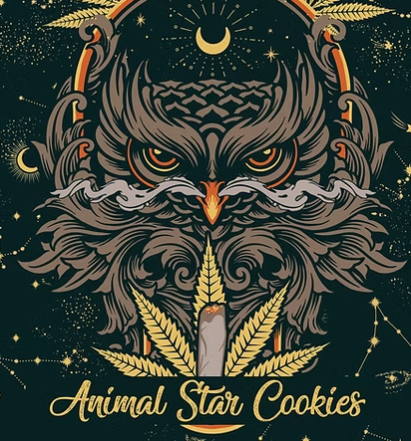 Animal Star Cookies 2pk/1g Smokos