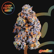 Gary Payton 7g