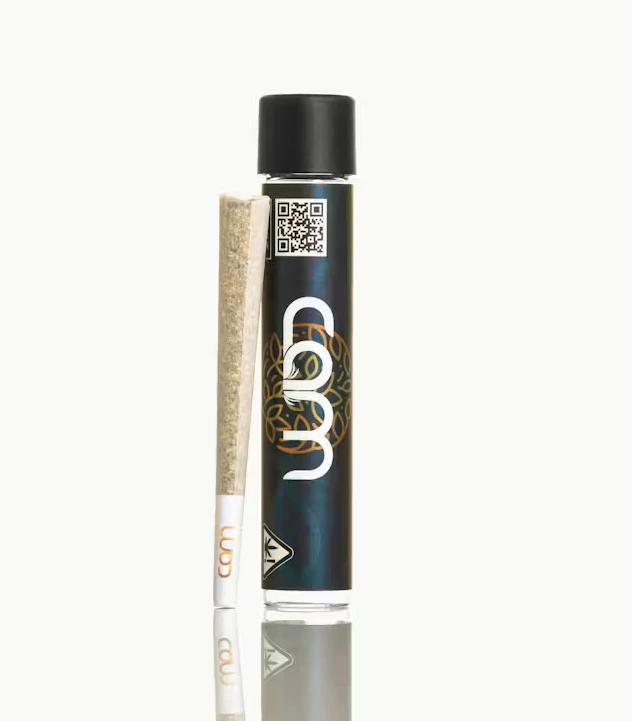 CAM - CAM - Preroll - GMOtion - 1G Main Image