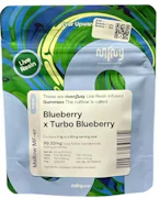 Blueberry x Turbo Blueberry Live Resin 10pk Gummies (100mg total) - Indica | MFNY
