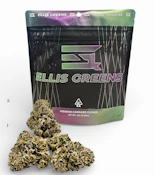 Ellis Greens Sherbanger 7g Flower