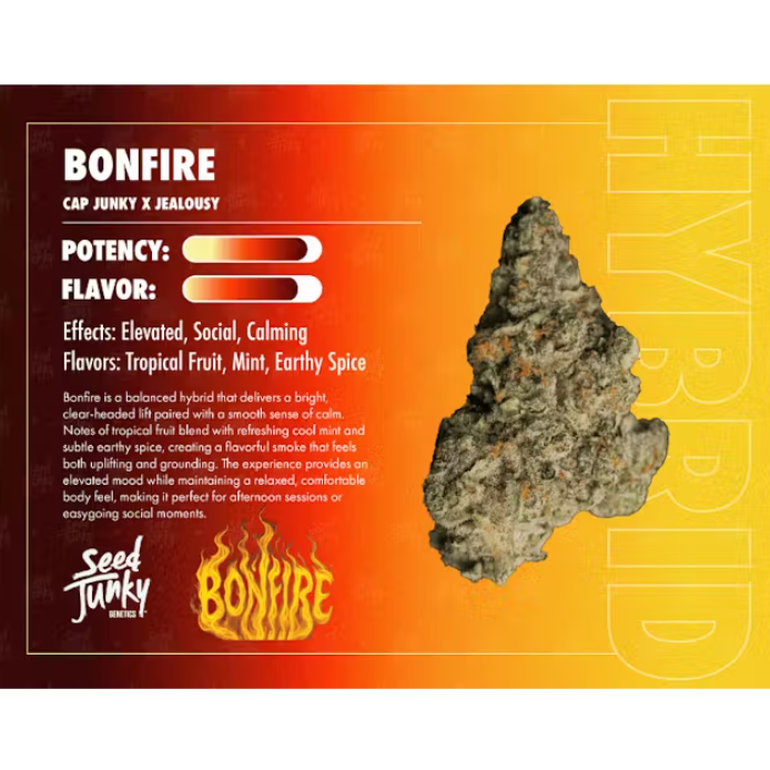 Seed Junky Genetics — Bonfire